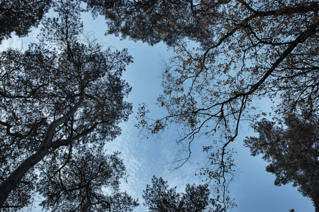 Capture d’écran 2023-01-03 à 17.53.37