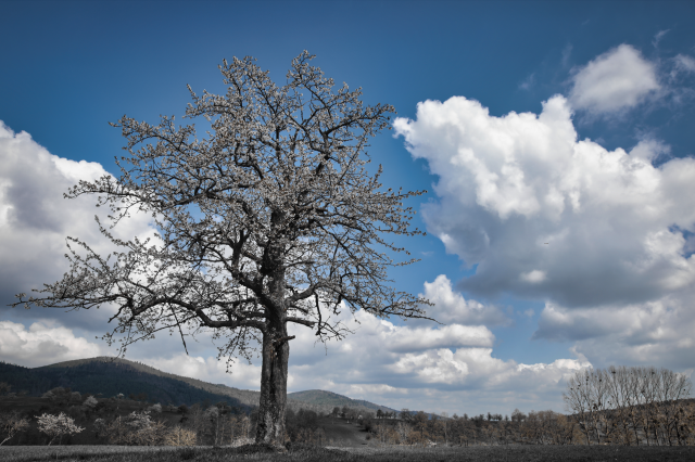 Capture d’écran 2023-07-19 à 15.08.57
