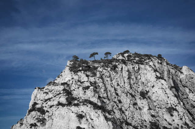 Rocher-cassis-arbre-sud