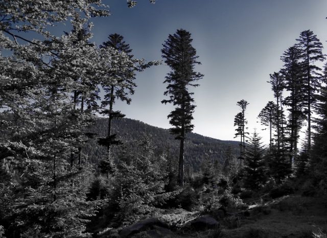 remboursement-dette-monde