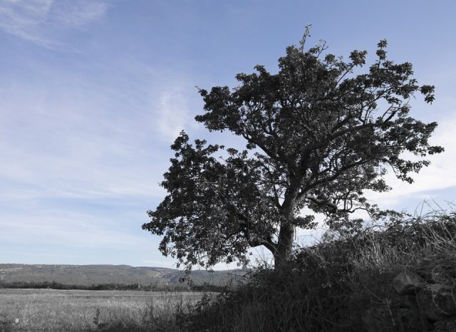 restriction-budgetaire-monde